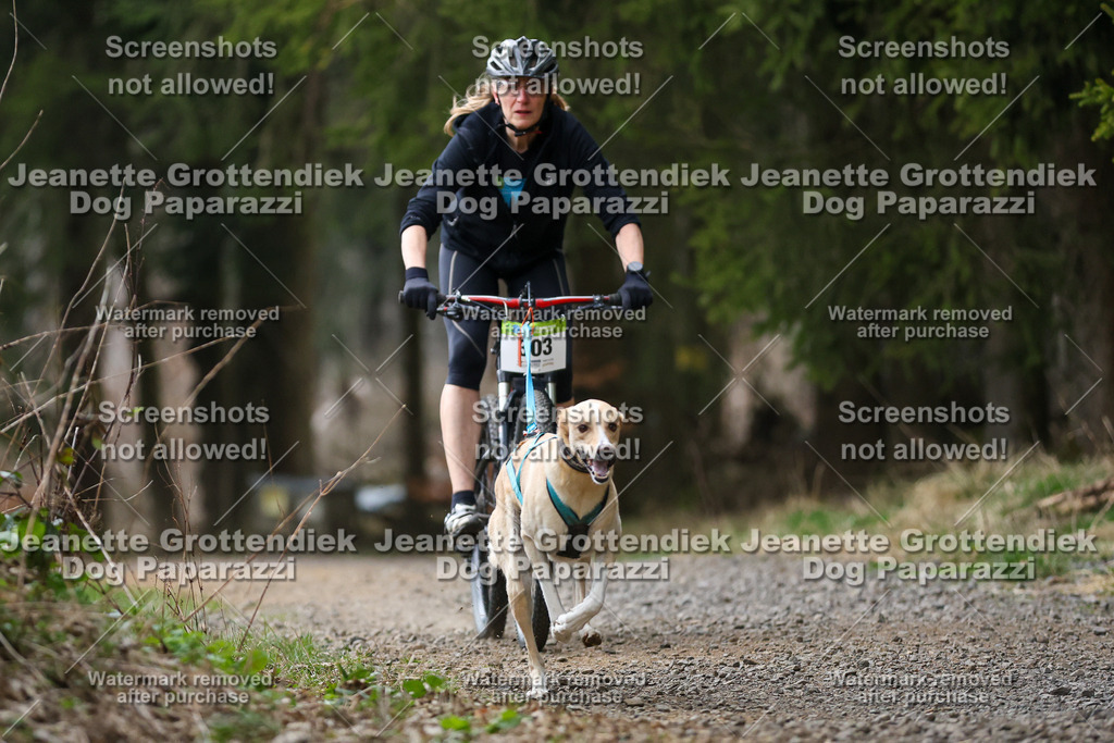 Dog Paparazzi - VCC26-569 | Dog Paparazzi Jeanette Grottendiek Fotografie & Videografie - Realisiert mit Pictrs.com