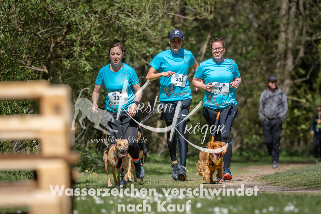 1239DZ6_4964 | kk-dogfotos