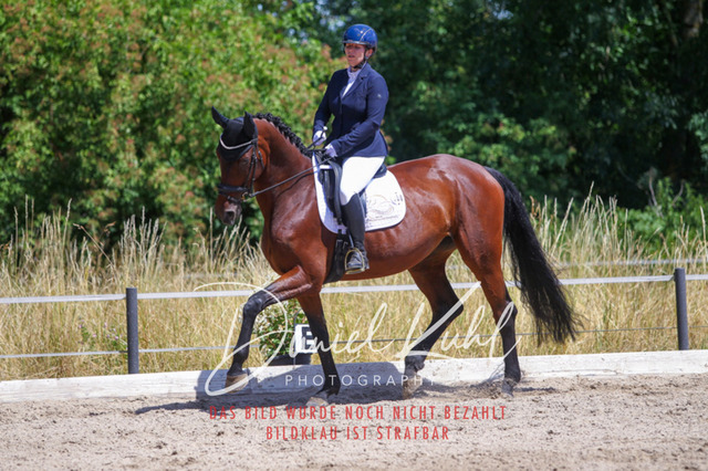 DKP46499 | Turniersportfotografie; Pferdefotografie; Dressurfotografie