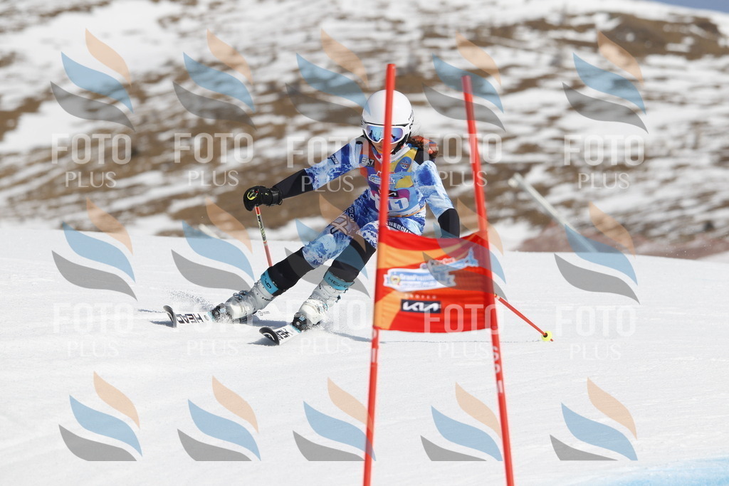 _U3G0516 | holidayphoto