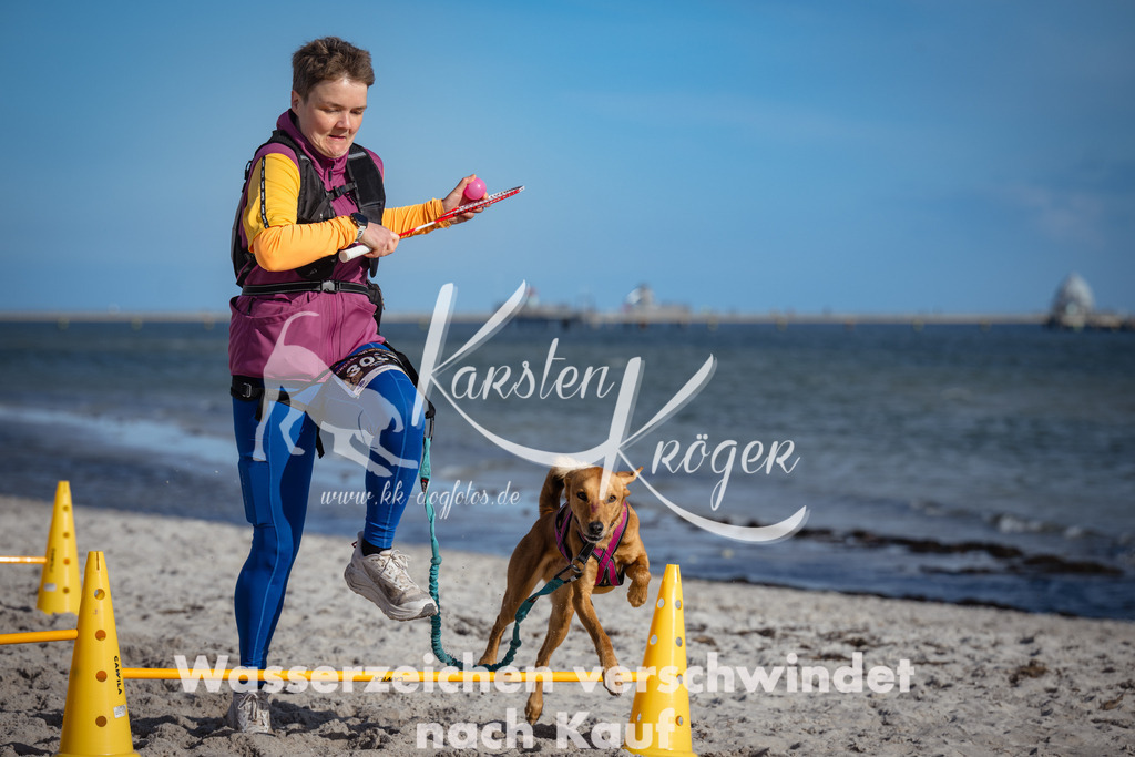 1355_ZZ94448 | kk-dogfotos