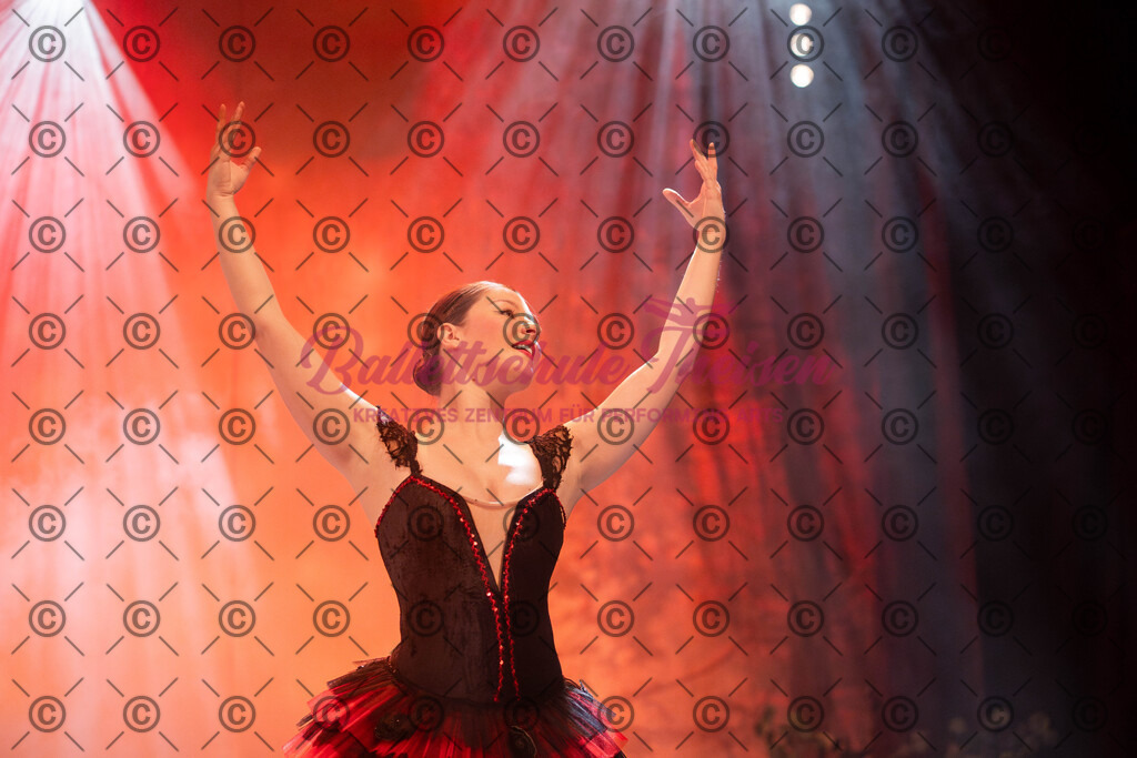 Ballettaufführung-1778 | Bildershop Lem'n Entertainment - Realisiert mit Pictrs.com