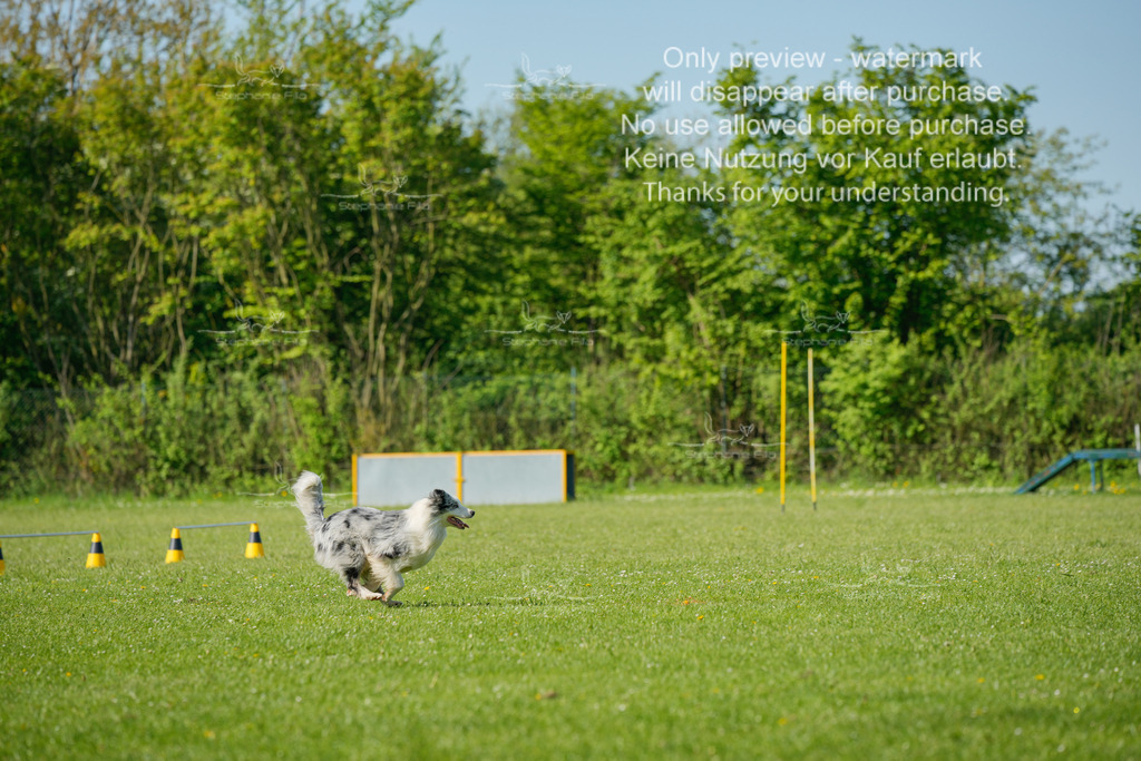 So_GehorsamVK3_11Uhr-4 | stephaniefillaphotographie - Realisiert mit Pictrs.com