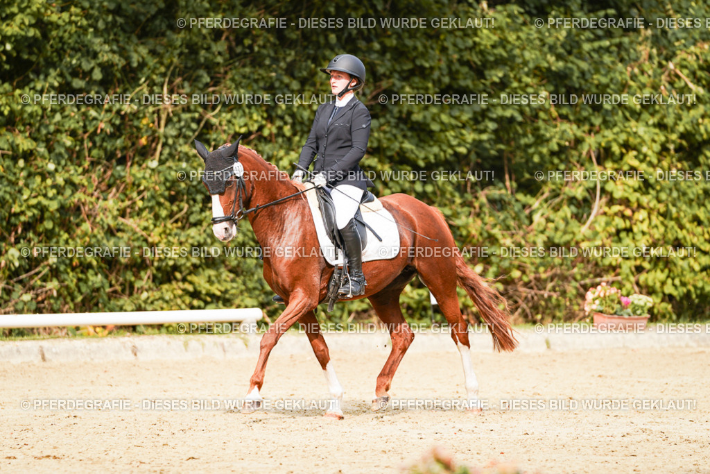 DSC03649 | Pferdegrafie