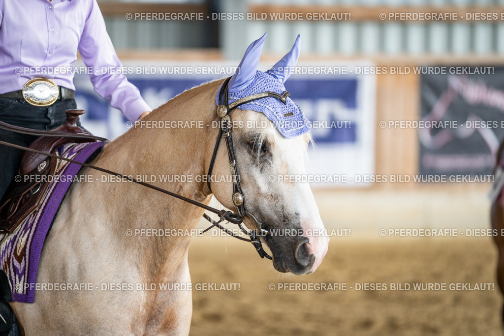 DSC07904 | Pferdegrafie