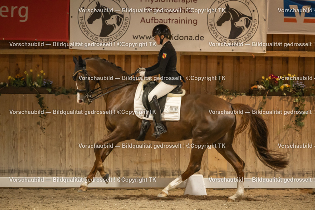 _D5A4017 | Emotionale Pferde- & People-Fotografie rund um Heidelberg, Leimen & Umgebung. Natürliche Fotos von Pferd, Mensch & Familie. Jetzt Termin sichern!