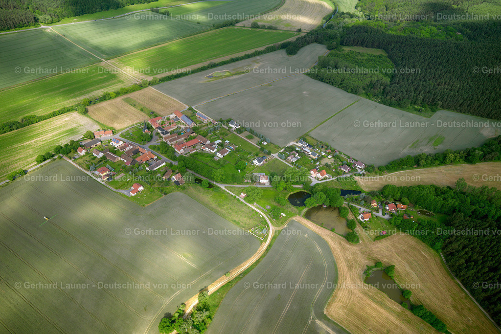 3002452 | Schweinitz