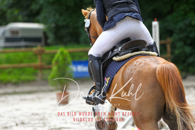 DKP44591 | Turniersportfotografie; Pferdefotografie; Dressurfotografie