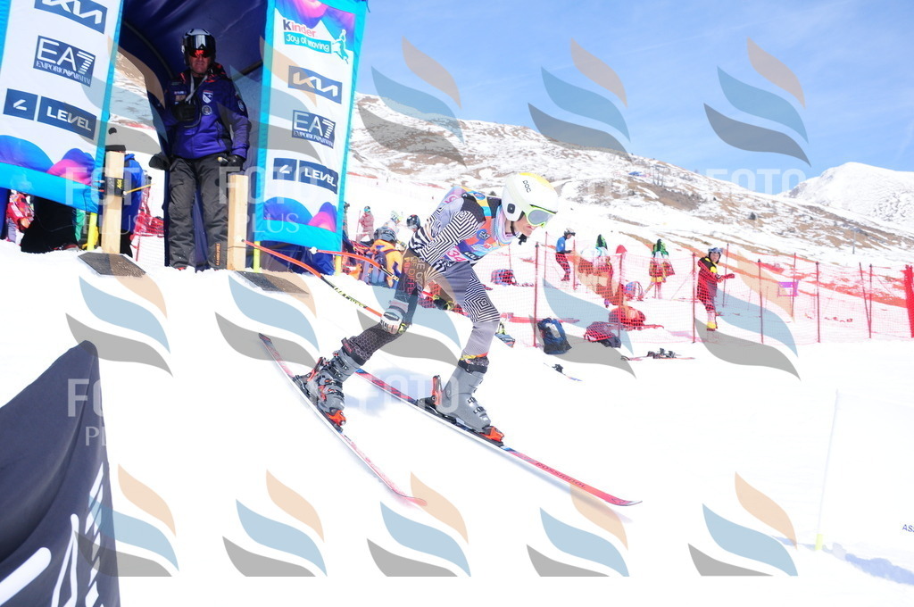 DSC_7053 | holidayphoto