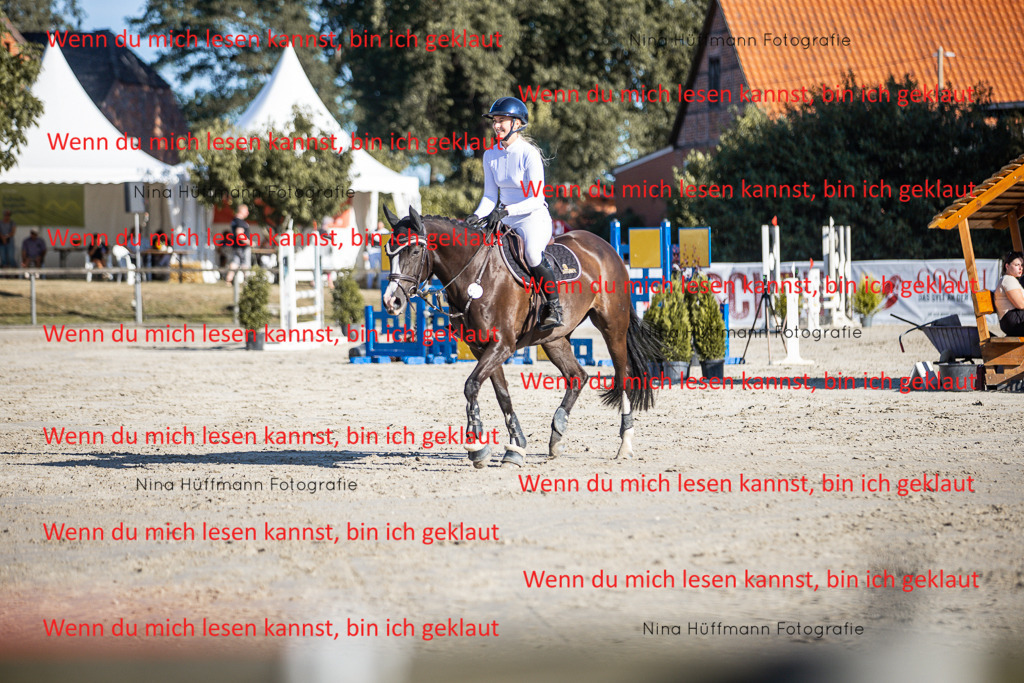BK1A7594 | Turnierbilder Turnierfotos Nina Hüffmann Turnierfotografie Pferdefotografie Tierzeichnung Haustierzeichnung Pferdezeichnung Hundezeichnung Videograf  - Realisiert mit Pictrs.com