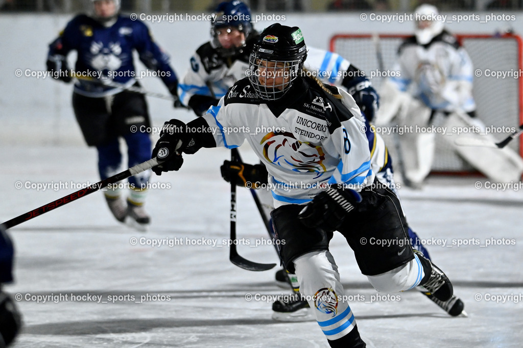 Wildcats Paternion vs. Unicorns Steindorf | #8 Sint Claudia UNICORNS STEINDORF, Wildcats Paternion vs. Unicorns Steindorf, Wildcats Paternion vs. Unicorns Steindorf am 02.01.2026 in Paternion (Eislaufplatz Paternion), Austria, (Photo by Bernd Stefan)