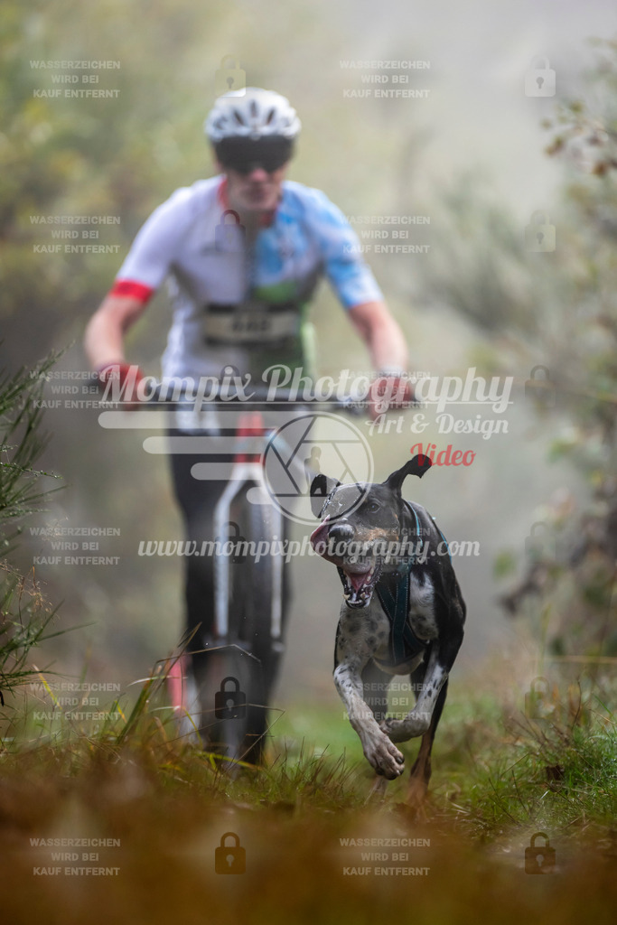 MompixPhotography_20TSB_E4_DS1-25 | PayLife
