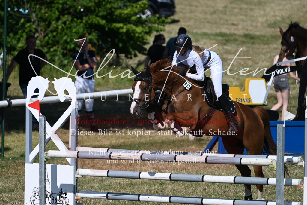 DSC_2304 | Pferde- und Turnierfotografie in Westsachsen. Pferdeportraits, Auftragszeichnungen und intuitive Kunst.