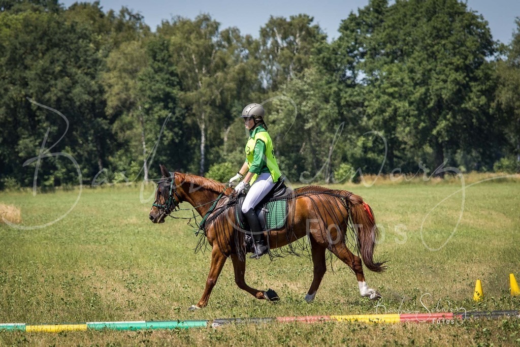 CJP_2026-06-26_38 | Stimmungsvolle Fotografie von Pferden, fotografische Begleitung von Veranstaltungen, Golfturnieren und Distanzritten - Realisiert mit Pictrs.com