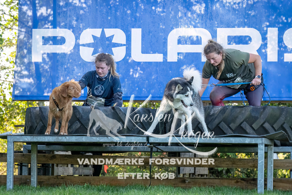 1034--3 | kk-dogfotos