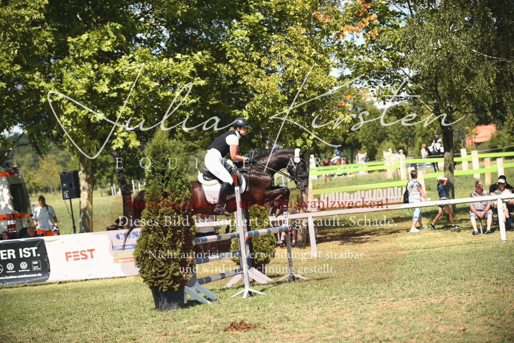 DSC_6651 | Pferde- und Turnierfotografie in Westsachsen. Pferdeportraits, Auftragszeichnungen und intuitive Kunst.