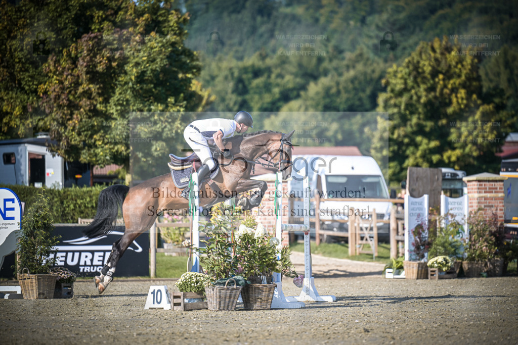 DOS_2379 | Entdecke hochwertige Reitturnierfotos von Foto Oger. Professionell, emotional und authentisch – jetzt Lieblingsmomente im Shop bestellen. - Realisiert mit Pictrs.com