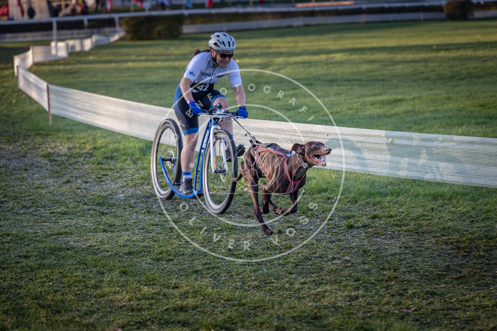 CaniXpix_0L8A1959 | Hundefotografie, Tierfotograf, Pfotenfotografie, Fotoshooting Hund, Hunde Portrait, Hundesport, Hundeportraits, Heideshooting, Hunde, Sportfotograf, Hundefotograf, Turnierhundsport, THS,  - Realisiert mit Pictrs.com