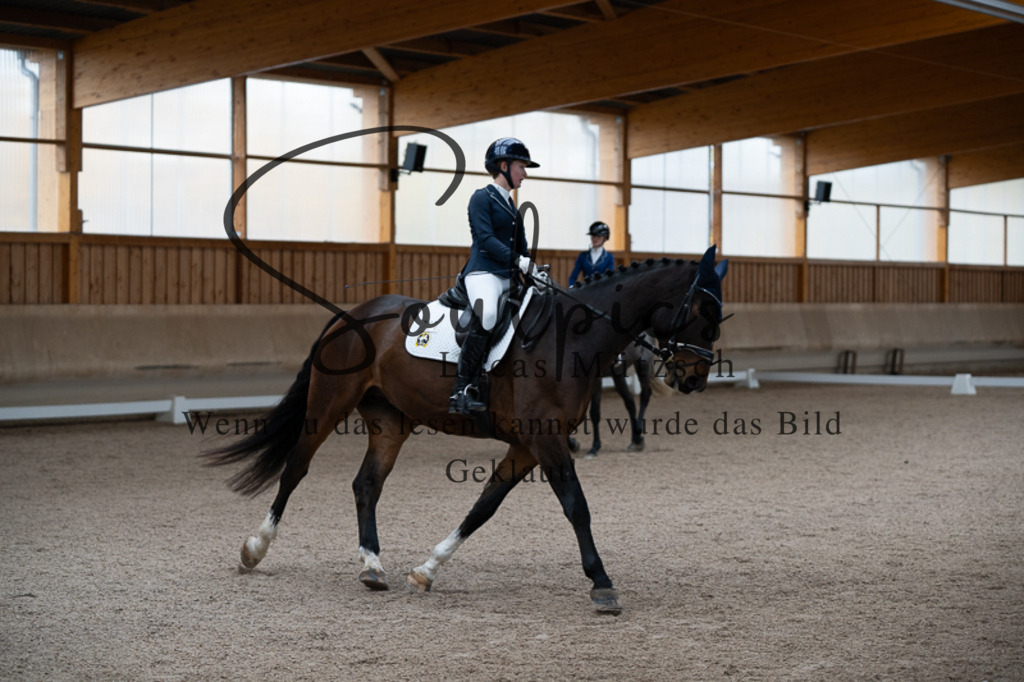 A7V02379 | Pferdefotograf