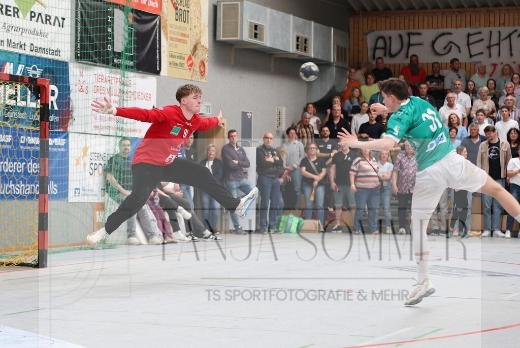 2H2A2012 | Tanja Sommer - TS Sportfotografie - Realisiert mit Pictrs.com