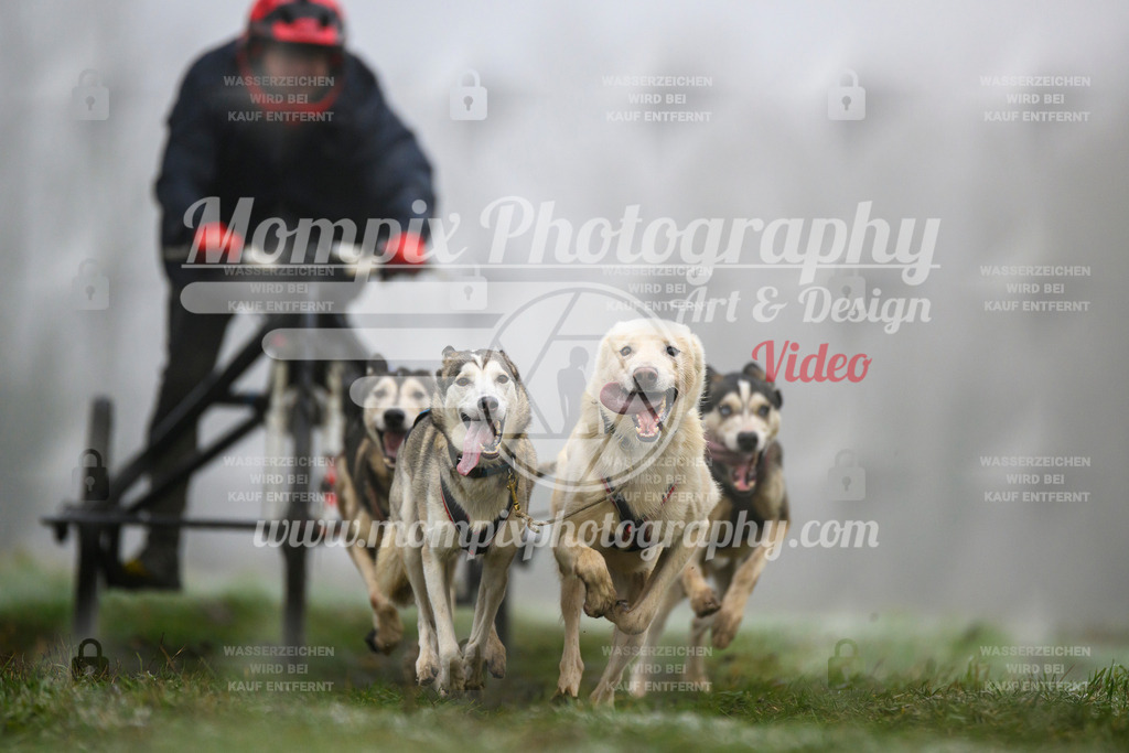MompixPhotography_CDF2023_FFST_Di_Kart-27 | PayLife