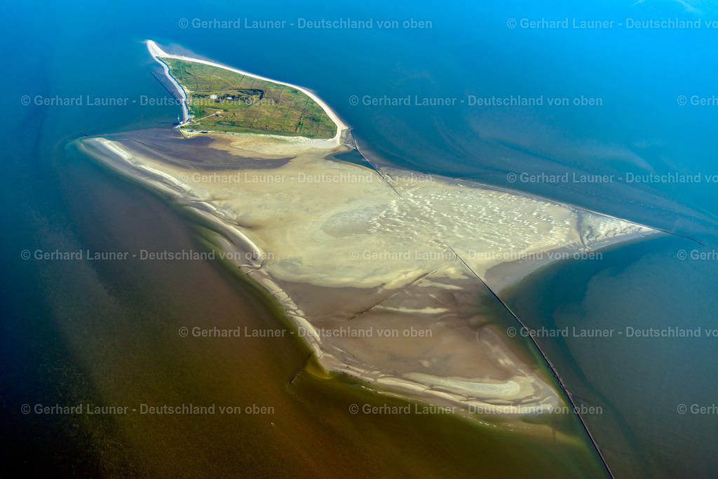 3801432 | Minseneroog, Nationalpark Niedersächsisches Wattenmeer