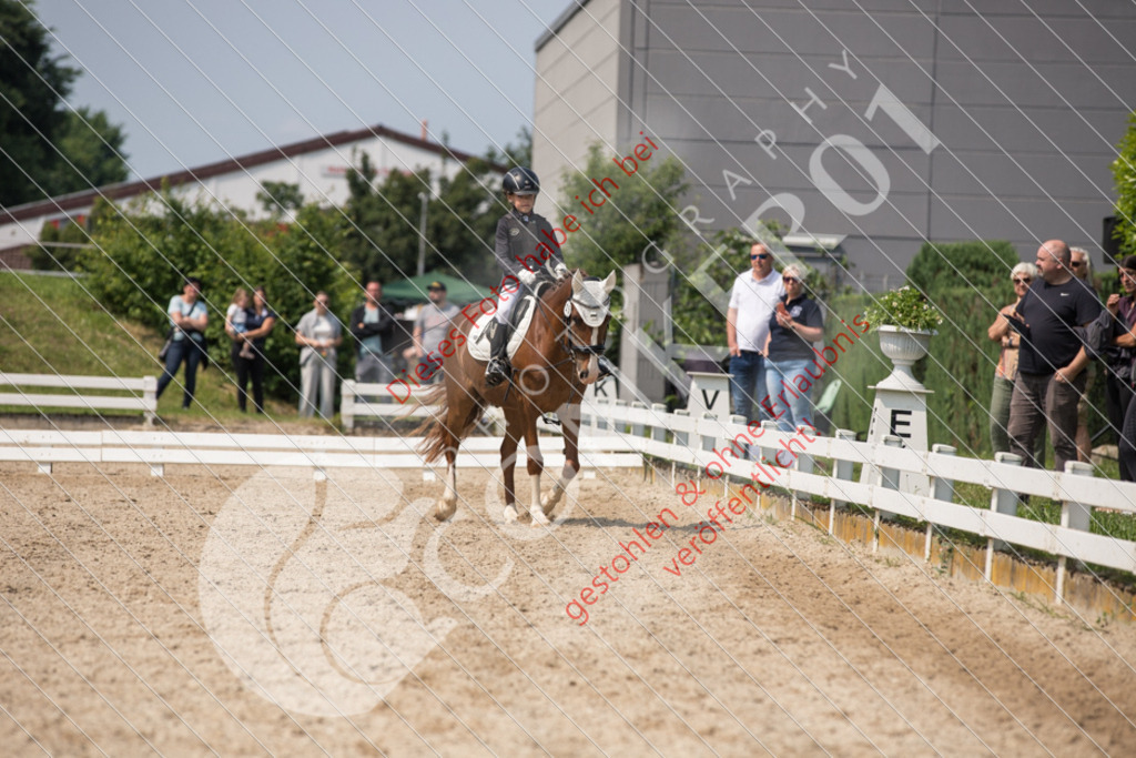 IMG_3344 | Sport-, Event- und Tierfotos in Profiqualität. Einfach auswählen, bestellen und herunterladen. Dein Moment – perfekt festgehalten.