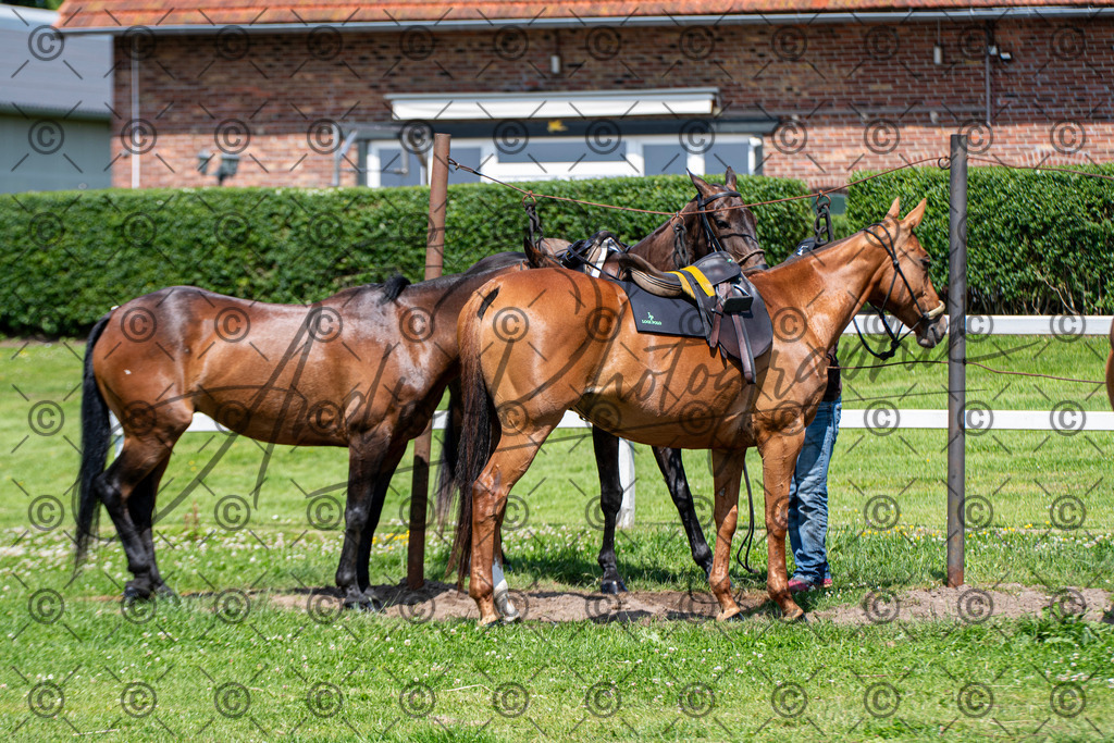 POL_2241 | andre_photographic