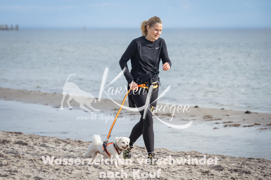 1237_ZZ97848 | kk-dogfotos