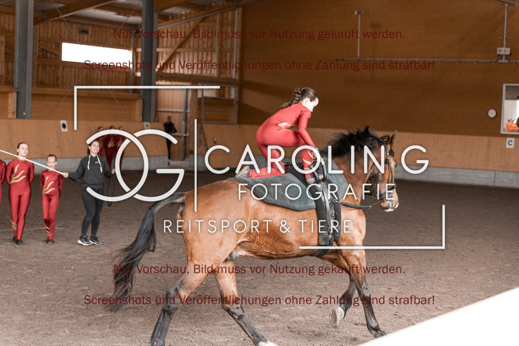 DSC_2049 | Turnierfotografin Carolin Gieschke,Reitsport Turnierfotografie Carolin G Fotografie | Turnierfotos aus Kirchheim/Teck, Esslingen, Stuttgart und dem Bodenseekreis