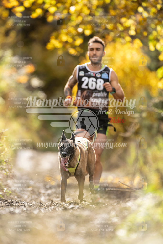 MompixPhotography_ICF_WC_2024_SA_Run_-75 | PayLife