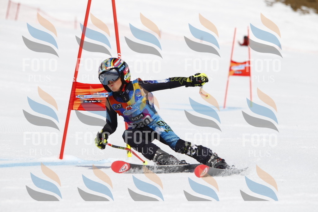 _U3G5932 | holidayphoto