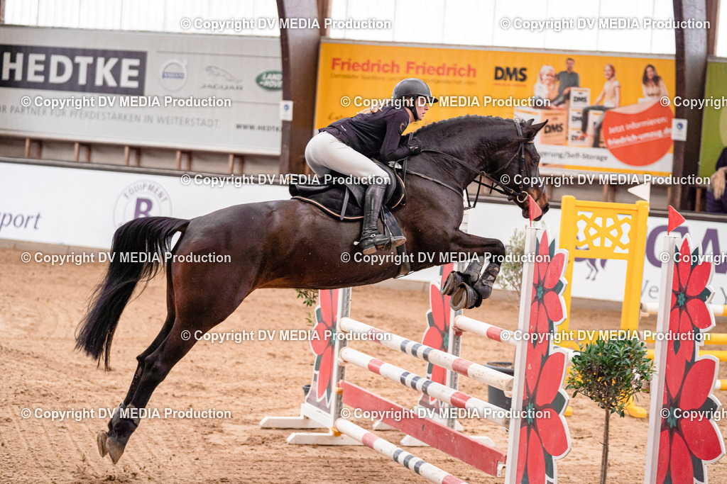 Kranichstein Tag 3-441 | dv-media-shop - Realisiert mit Pictrs.com