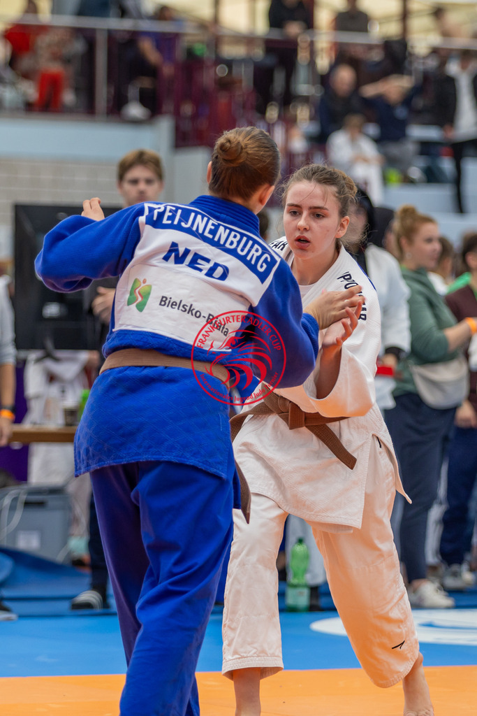Internationaler Adler Cup 2024 | Foto vom Internationalen Adler Cup Judo Turnier im Sport- und Freizeitzentrum Kalbach im Oktober 2024 - Realisiert mit Pictrs.com