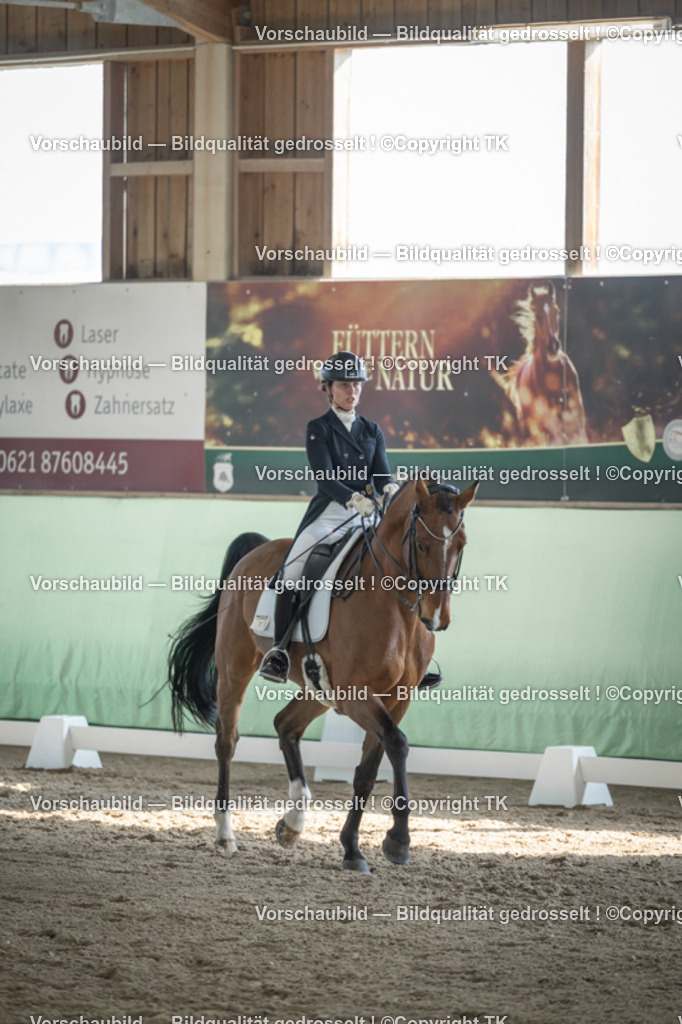 _D5A0036 | Emotionale Pferde- & People-Fotografie rund um Heidelberg, Leimen & Umgebung. Natürliche Fotos von Pferd, Mensch & Familie. Jetzt Termin sichern!