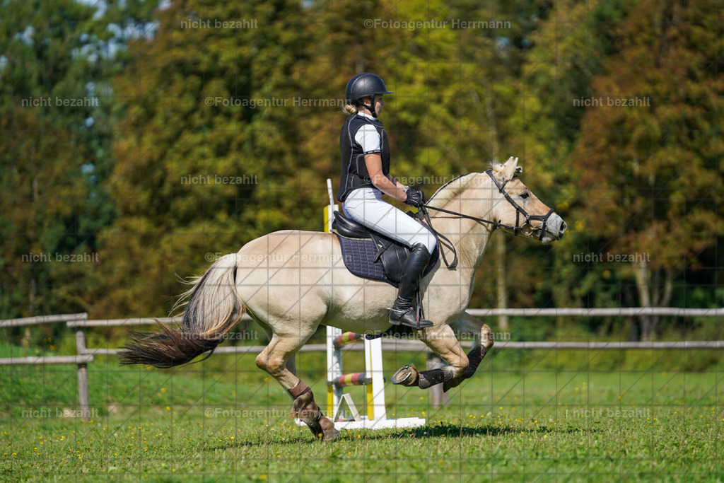 20230917-FAH09436 | Landsberg am Lech, 2023, Kaufbeuren, Kempten, Allgäu, Turnierfotografen Bayern, Fotoagentur Herrmann, Turnierbilder, Reitsport Fotos, Pferdefotograf, Augsburg, Bad Tölz, Dachau, Karlsfeld, Memmingen, Buchloe, Schwabmünchen