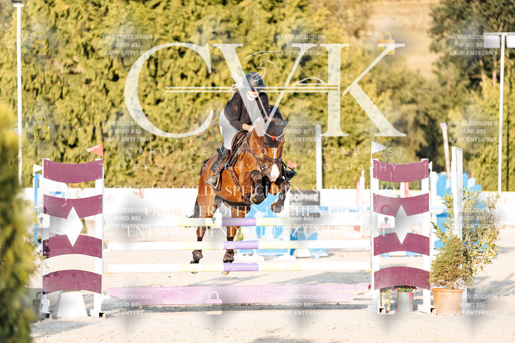 CK901010 | Turnierfotografie Pferdefotografie Trier Rheinland-Pfalz Pferdesport Reitsport Tierfotografie Sportfotografie Pferdevideo Pferdevideografie Equestrianvideography equestrianphotography  - Realisiert mit Pictrs.com