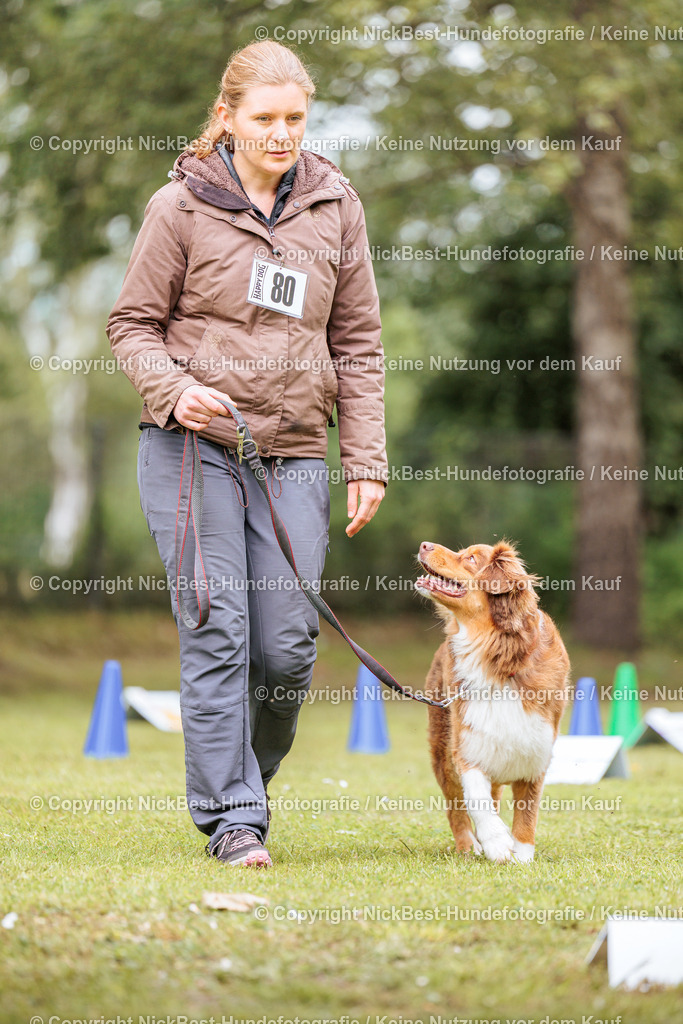 RO-Blumenthal-2026-Nickbest-Hundefotografie-3429 | Dein Hund! Dein Moment! Deine Erinnerungen! Hundefotografie in Bremen Blumenthal. Ich fange die besonderen Momente deines Vierbeiners ein – ob Indoor mit Blitzanlage oder in der freien Natur. Sicher dir dein Moment und dein Termin für eure Erinnerungen.