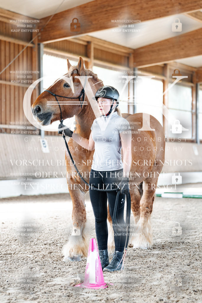 CK905480 | Turnierfotografie Pferdefotografie Trier Rheinland-Pfalz Pferdesport Reitsport Tierfotografie Sportfotografie Pferdevideo Pferdevideografie Equestrianvideography equestrianphotography  - Realisiert mit Pictrs.com