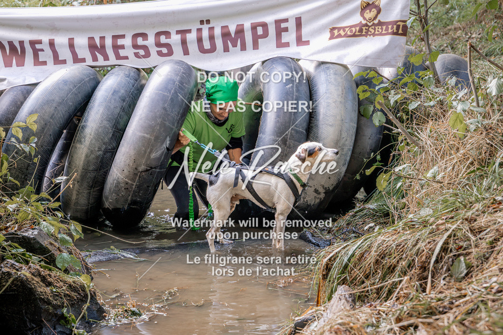 nelerasche_Hunsrück2026_Sa1400-1500_44 | nelerasche