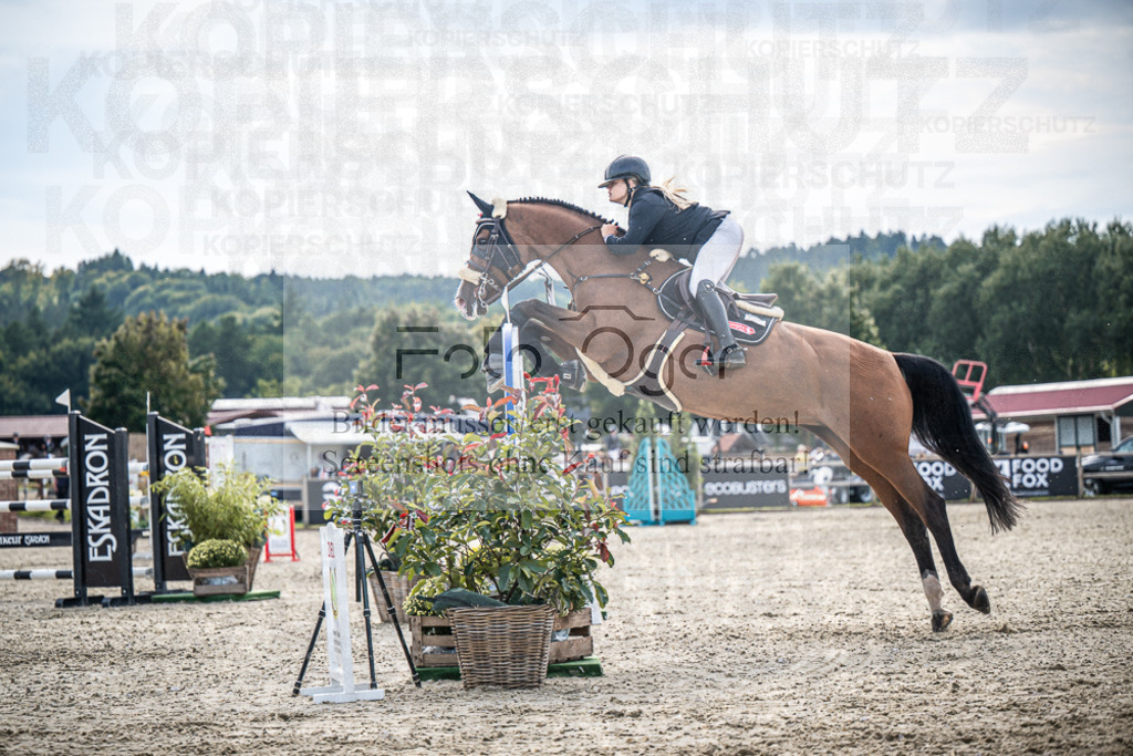 DOS_2443 | Entdecke hochwertige Reitturnierfotos von Foto Oger. Professionell, emotional und authentisch – jetzt Lieblingsmomente im Shop bestellen.Deutschlandweite Turnierfotografie. - Realisiert mit Pictrs.com