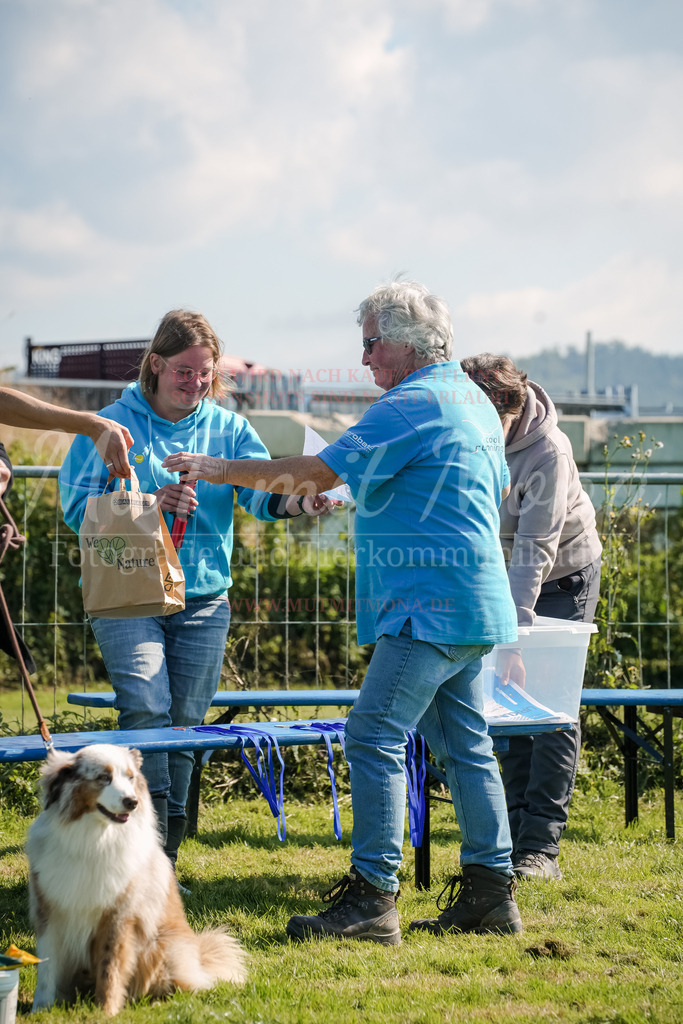 20250928_Hunderennen-750 | MuT (Mensch und Tier) mit Mona - Fotografie und Tierkommunikation - Realisiert mit Pictrs.com