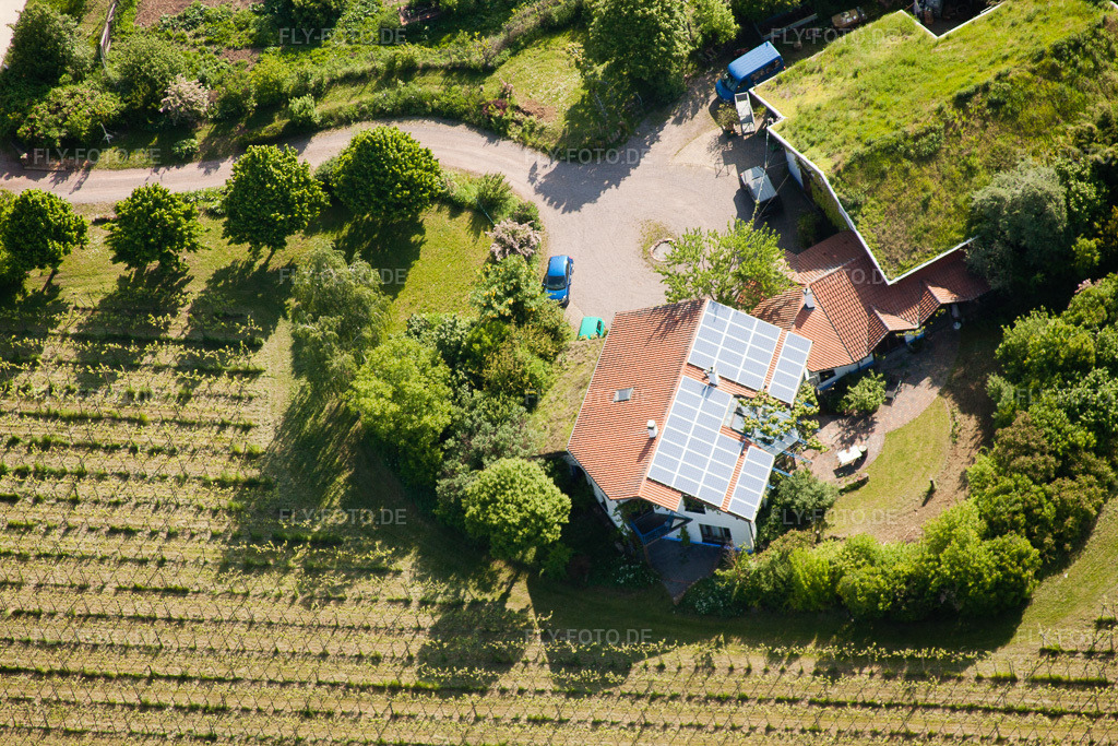 Luftbild: Bioland Weingut Marzolph im Ortsteil Wollmesheim in Landau im Bundesland Rheinland-Pfalz in Deutschland. Foto: IMG_27243.jpg vom 23.05.2010 durch Werner Riehm/FLY-FOTO.de