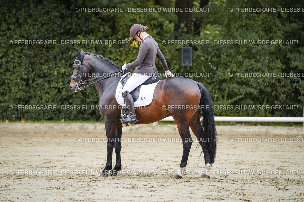 DSC08687 | Pferdegrafie