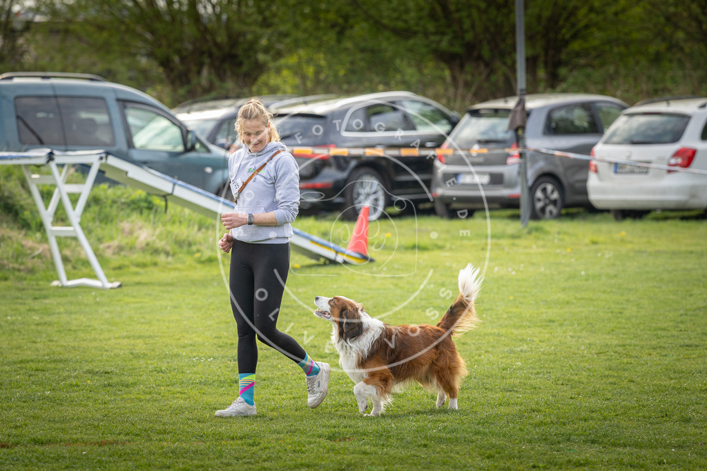 Pfotenfotografie_DV3A4950 | Hundefotografie, Tierfotograf, Pfotenfotografie, Fotoshooting Hund, Hunde Portrait, Hundesport, Hundeportraits, Heideshooting, Hunde, Sportfotograf, Hundefotograf, Turnierhundsport, THS,  - Realisiert mit Pictrs.com