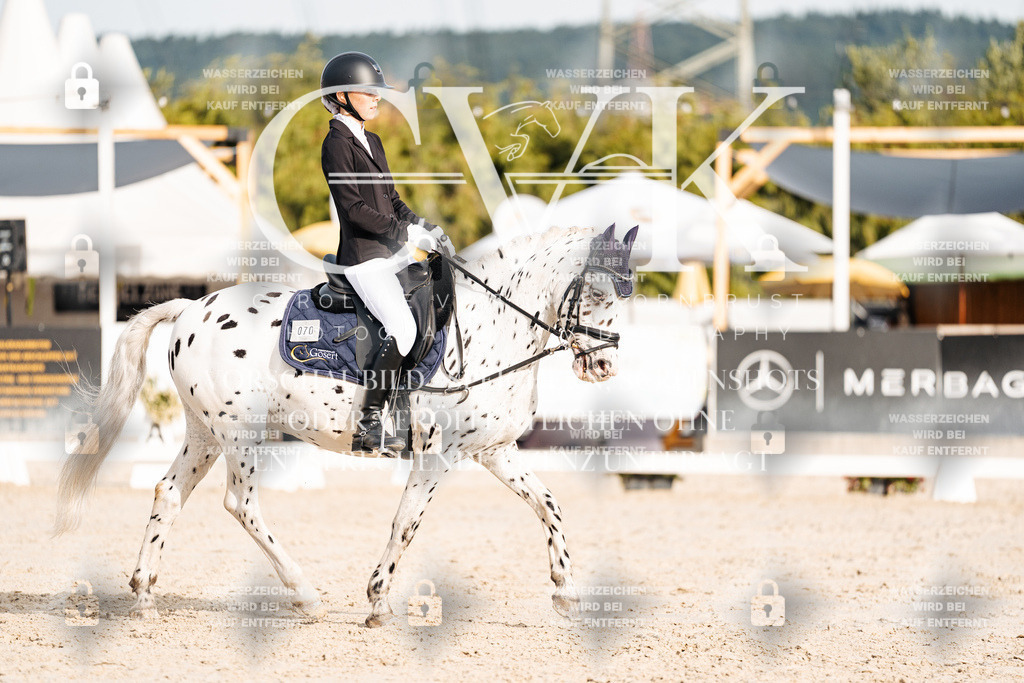 CK904379 | Turnierfotografie Pferdefotografie Trier Rheinland-Pfalz Pferdesport Reitsport Tierfotografie Sportfotografie Pferdevideo Pferdevideografie Equestrianvideography equestrianphotography  - Realisiert mit Pictrs.com