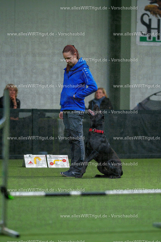 7R504138 | Professionelle Tierfotografie in Mönchengladbach von Daniel Wirth (allesWIRTHgut). Liebevolle & natürliche Bilder von Hunden & Katzen für unvergessliche Erinnerungen.