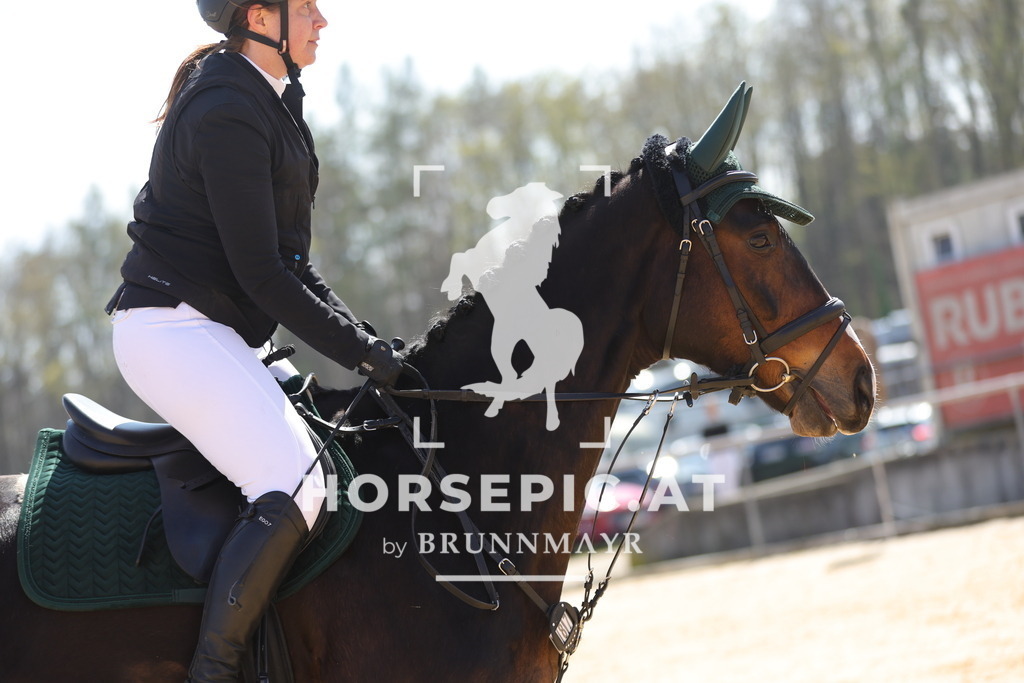 0P6A0498 | Willkommen bei Brunnmayr - Design & Fotografie – Ihrem Spezialisten für Reitturniere und Pferdeveranstaltungen in Oberösterreich, Salzburg und Bayern! Seit über 17 Jahren sind wir leidenschaftlich dabei.