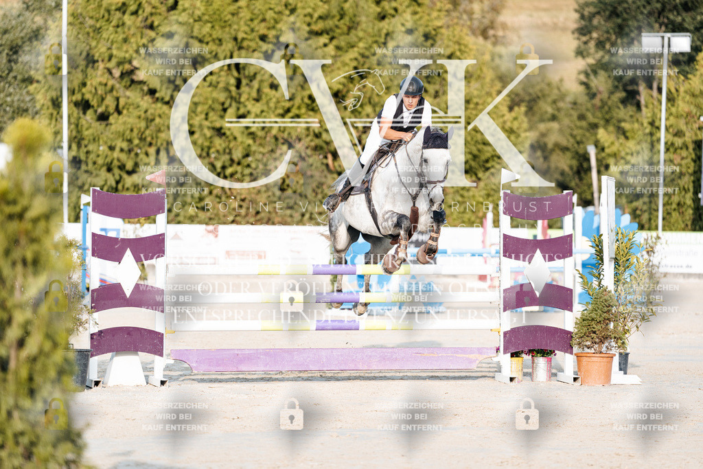 CK900615 | Turnierfotografie Pferdefotografie Trier Rheinland-Pfalz Pferdesport Reitsport Tierfotografie Sportfotografie Pferdevideo Pferdevideografie Equestrianvideography equestrianphotography  - Realisiert mit Pictrs.com