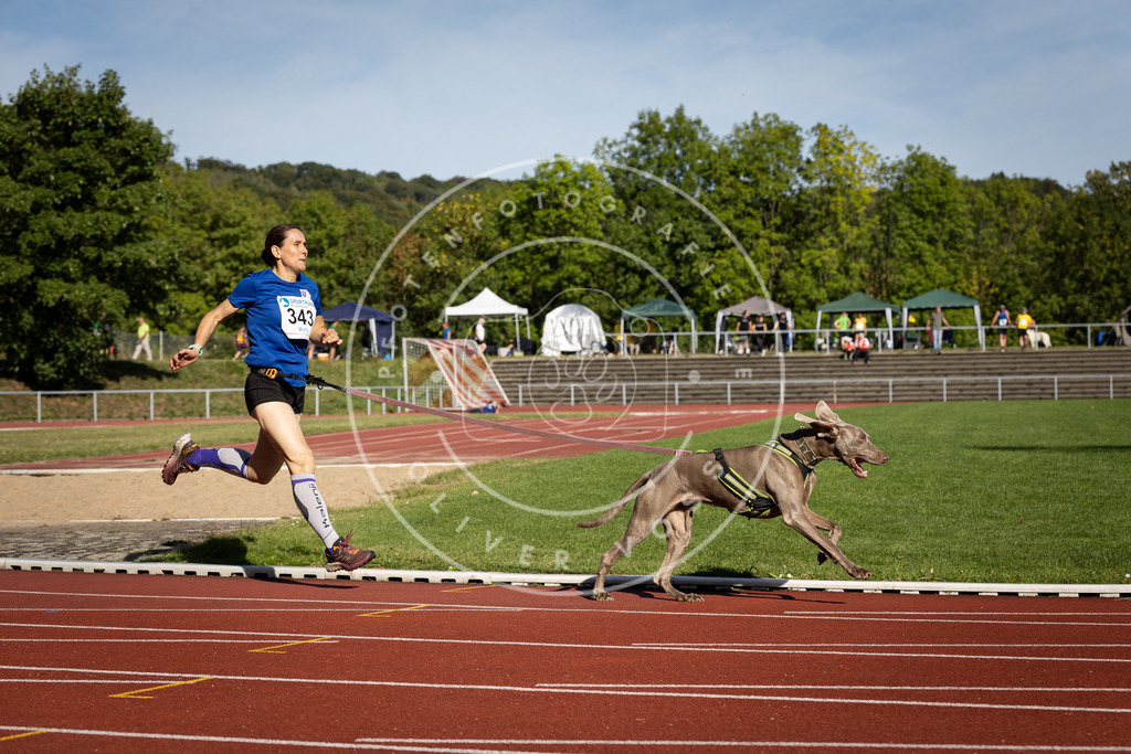 Pfotenfotografie_DV3A8408 | Hundefotografie, Tierfotograf, Pfotenfotografie, Fotoshooting Hund, Hunde Portrait, Hundesport, Hundeportraits, Heideshooting, Hunde, Sportfotograf, Hundefotograf, Turnierhundsport, THS,  - Realisiert mit Pictrs.com